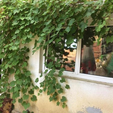 Casa Cu Curte 호텔 브라쇼브 외부 사진